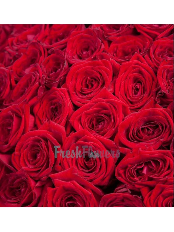 "Таємне бажання" 201 троянда
